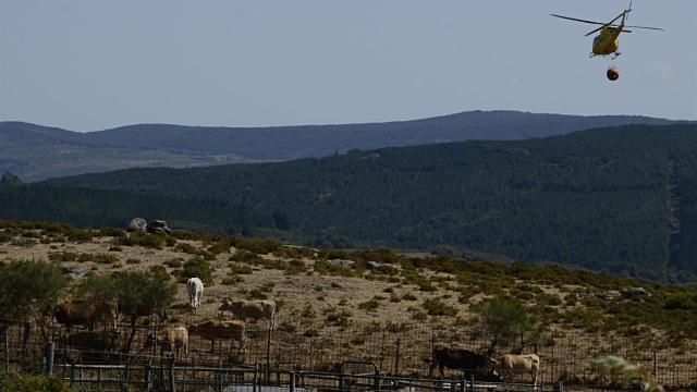 Un helicóptero en labores de extinción de un fuego en Ourense.