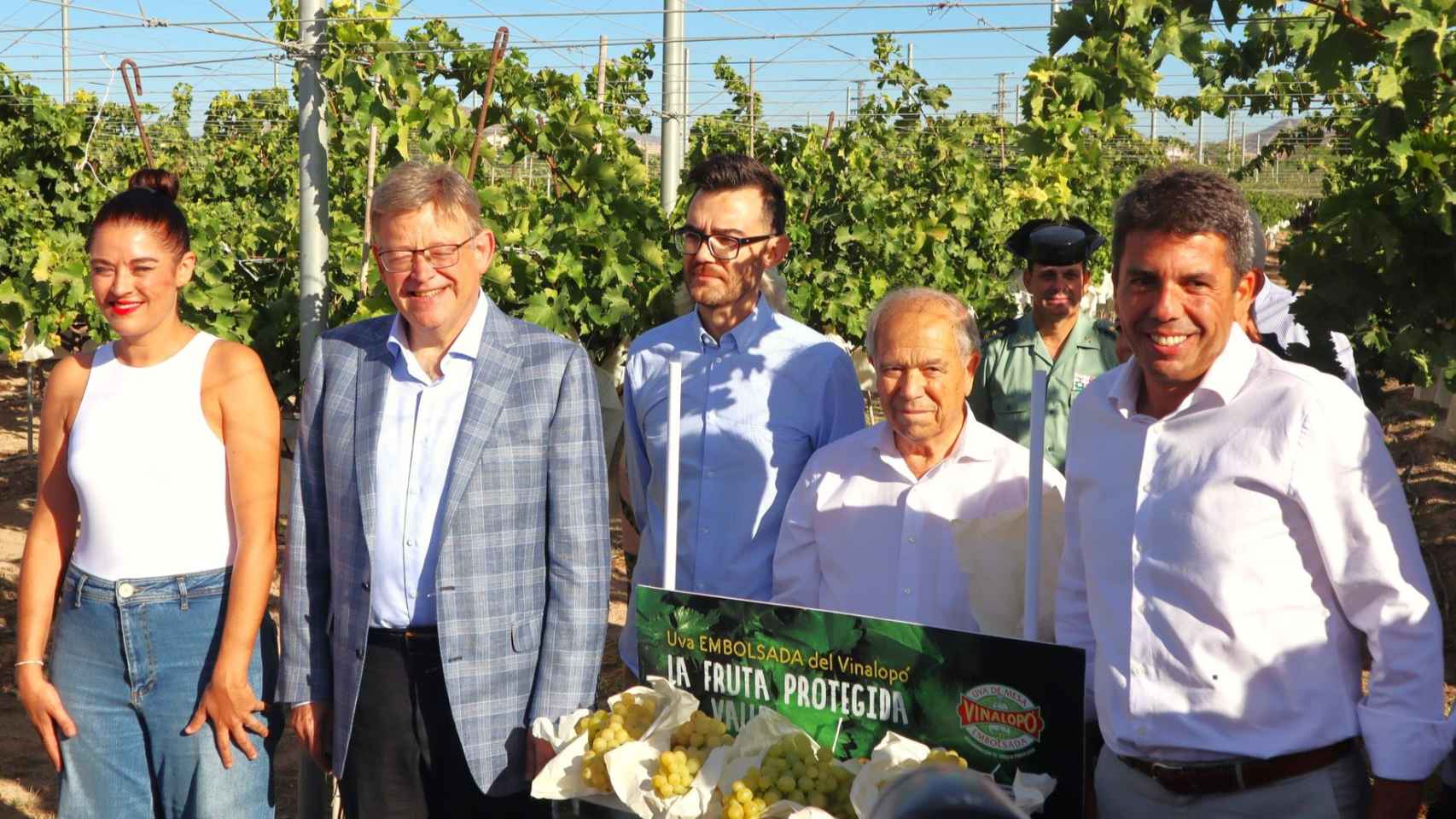 Ximo Puig y Carlos Mazón en el acto esta semana en Novelda de la campaña de la uva embolsada de Novelda.