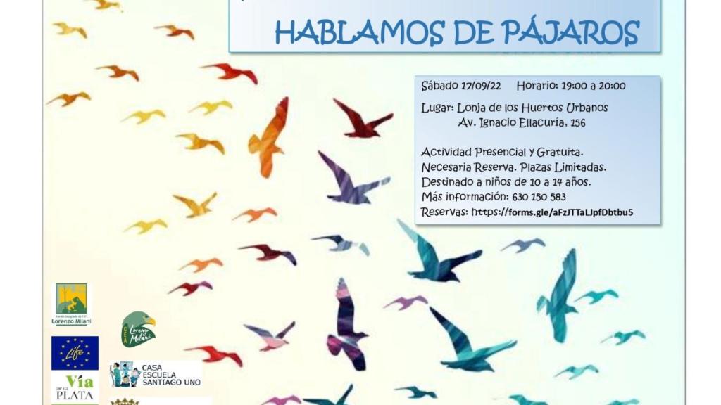 Taller de pájaros