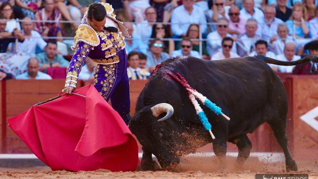 Muletazo de José María Manzanares al segundo toro de la tarde./ BMF Toros