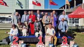 Pódium Best in Show de la 101ª Exposición Nacional Canina Feira Internacional de Galicia.