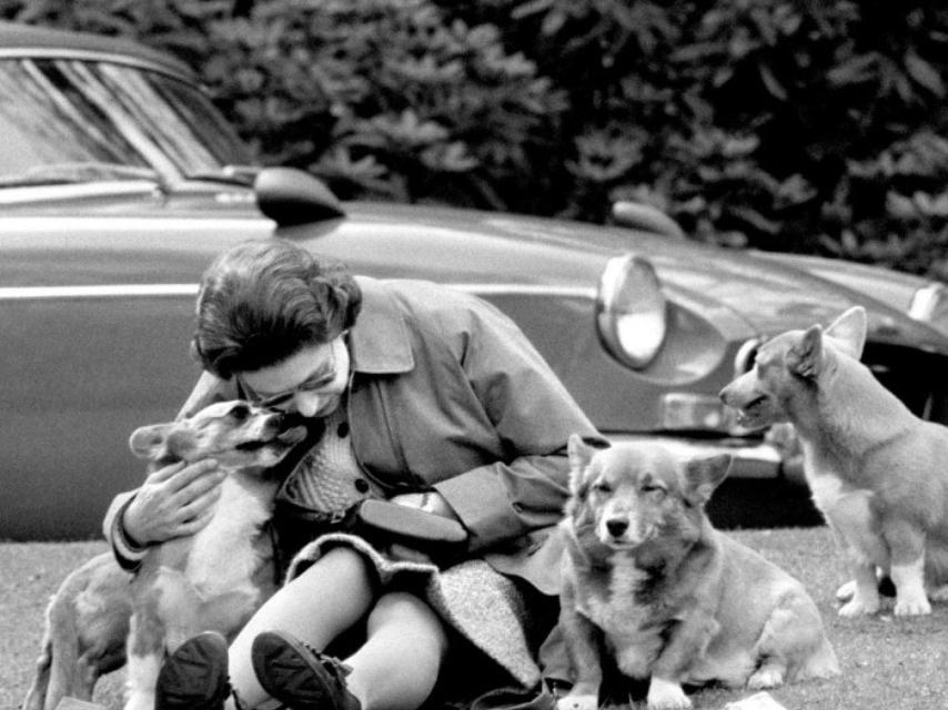 Isabel II posa con algunos de sus corgi en Windsor en 1973.