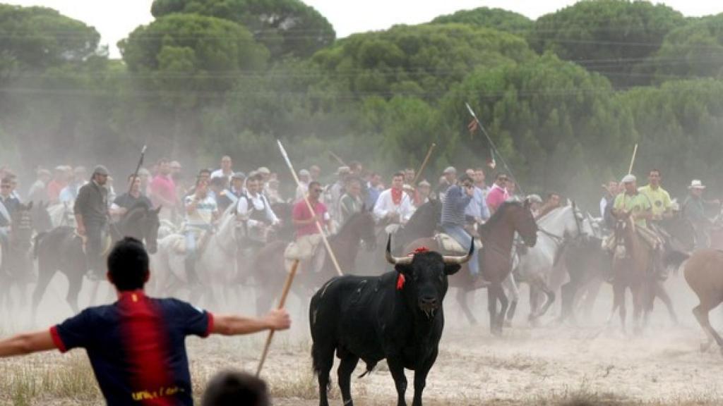 Torneo del Toro de la Vega