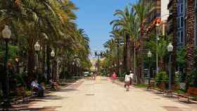 Federico Soto es una de las calles de Alicante en las que se realizará esta inversión.