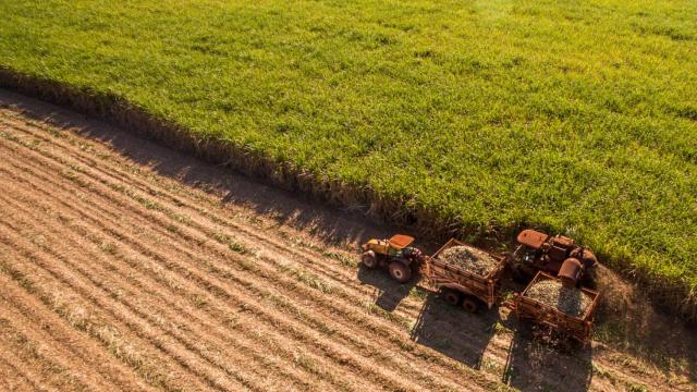 Tractor realizando la cosecha