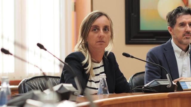 La diputada del PSdeG Paloma Castro durante una intervención en Comisión en el Parlamento gallego.