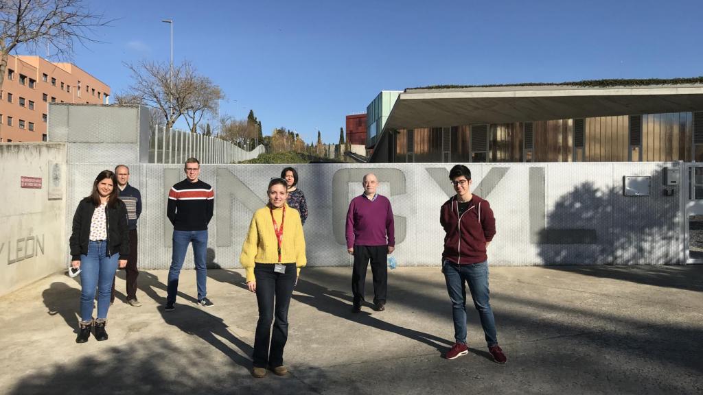 El grupo de investigación 'Neurobiología de las neurotrofinas' ubicado en el Instituto de Neurociencias de Castilla y León y dirigido por Juan Carlos Arévalo