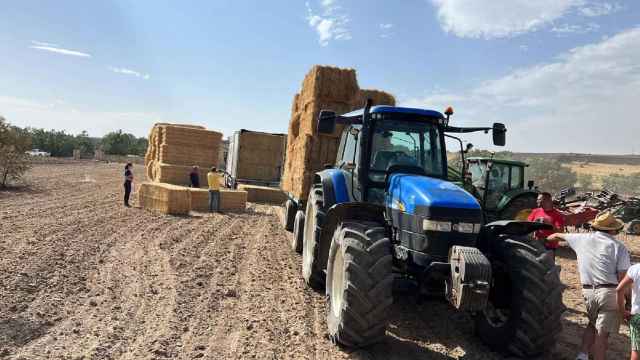 La Junta distribuye 372.730 kilos de alimento entre los ganaderos afectados por el fuego de Navafría