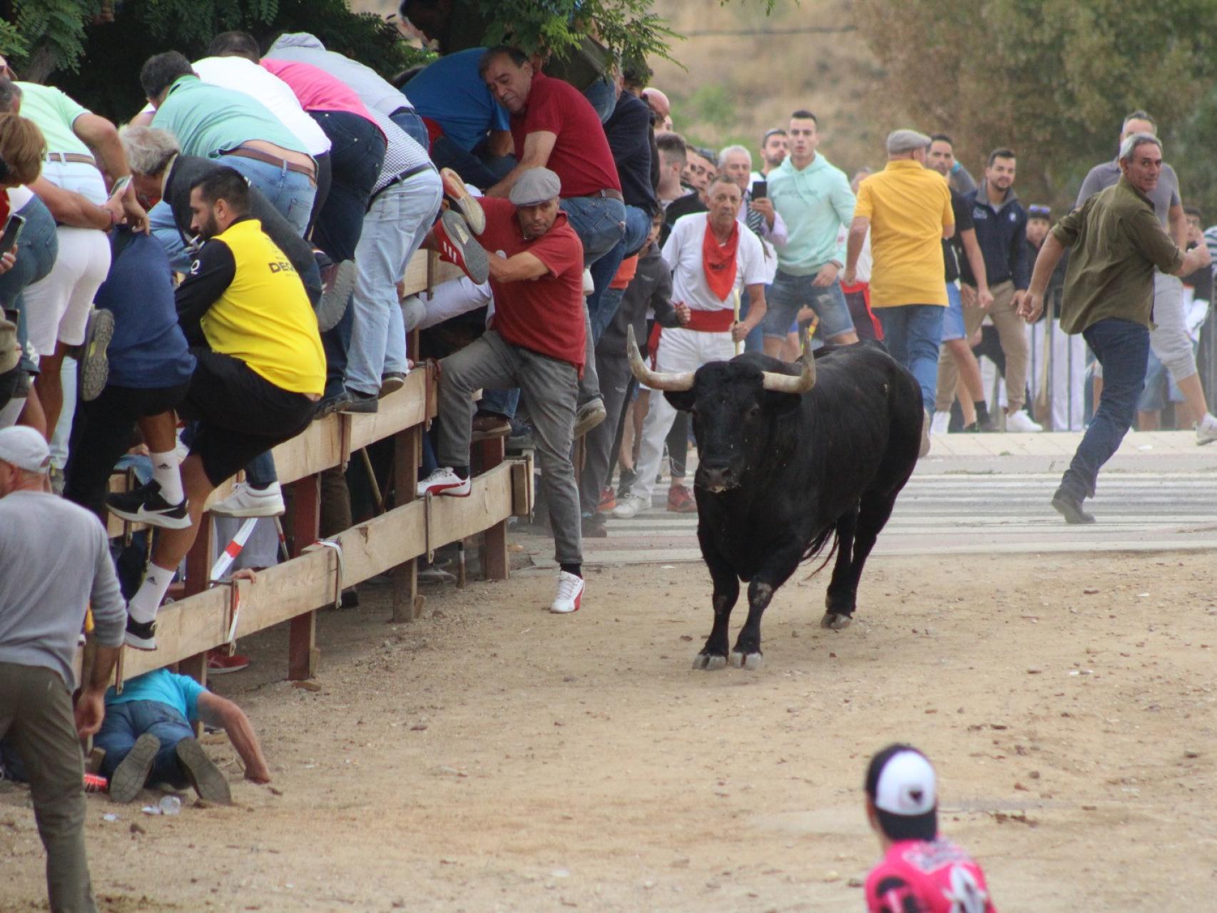 Un joven herido tras sufrir una doble cogida en un encierro de un pueblo de  Salamanca