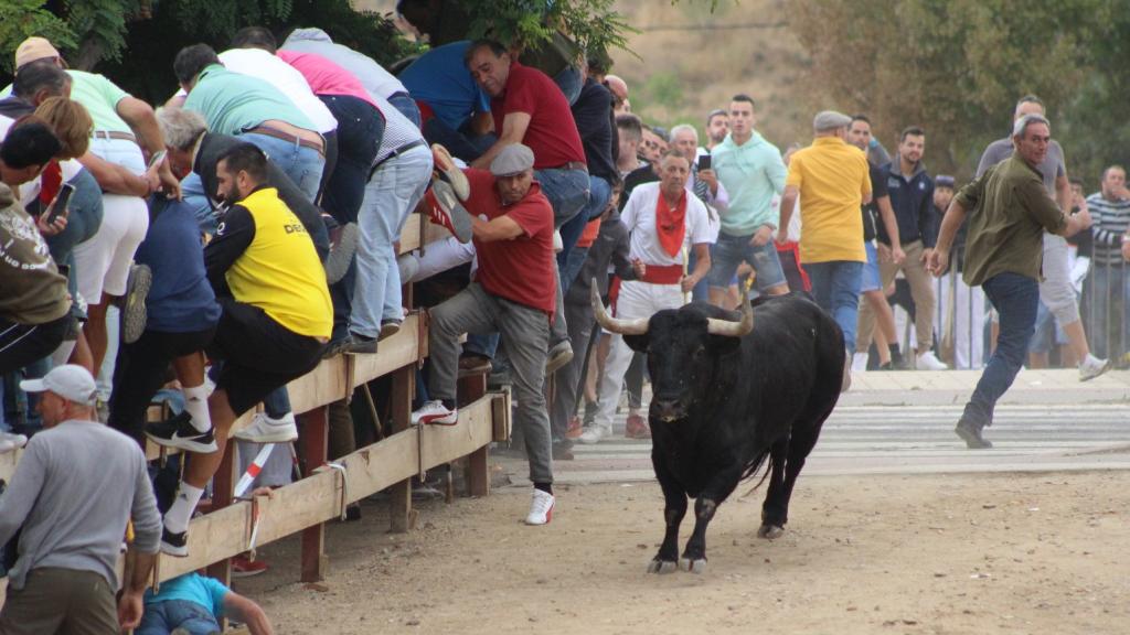 Imagen del encierro del Toro de la Vega de este martes en Tordesillas