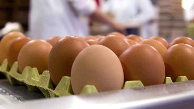 Huevos, un alimento que hay que controlar en verano
