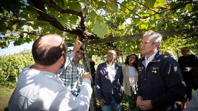 Visita del presidente de la Xunta, Alfonso Rueda, a las bodegas Martín Códax.