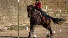 Una de las pruebas del Concurso Nacional de Equitación