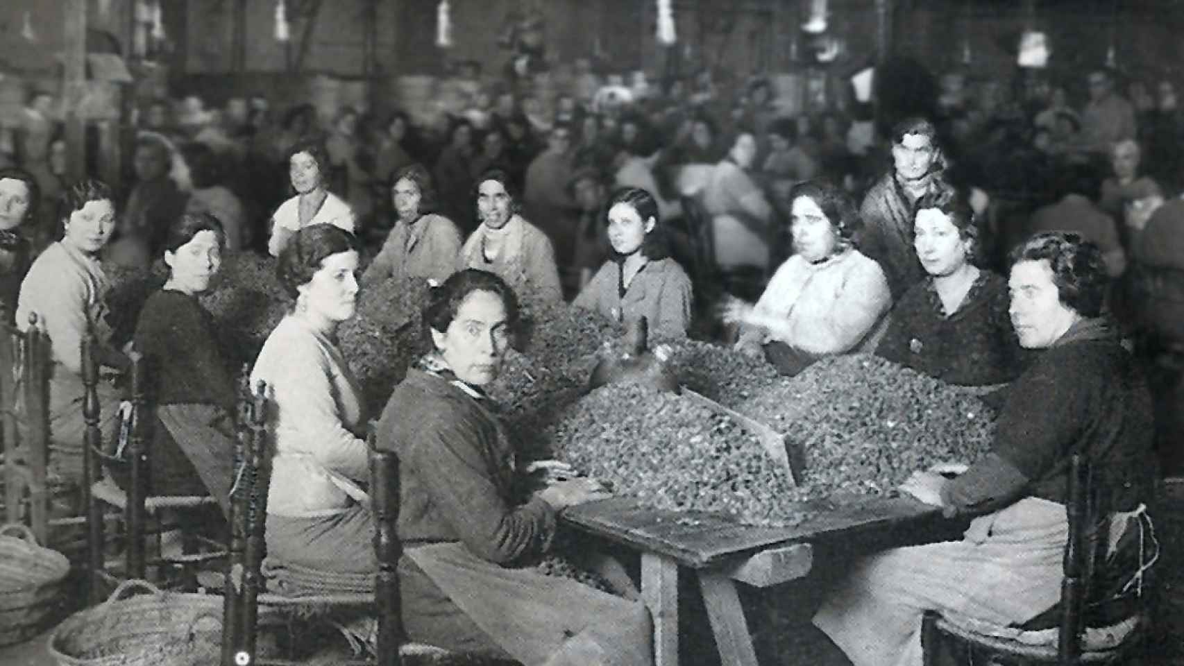 Mujeres trabajando con el café en 1945.