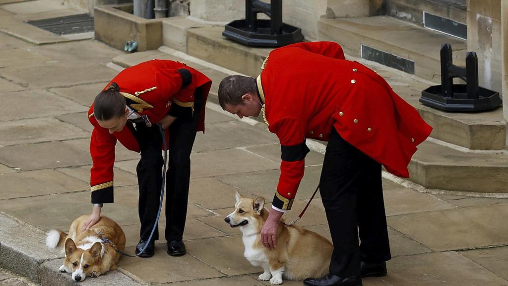 Los dos perros de Isabel II esperando verla pasar antes de ser enterrada.