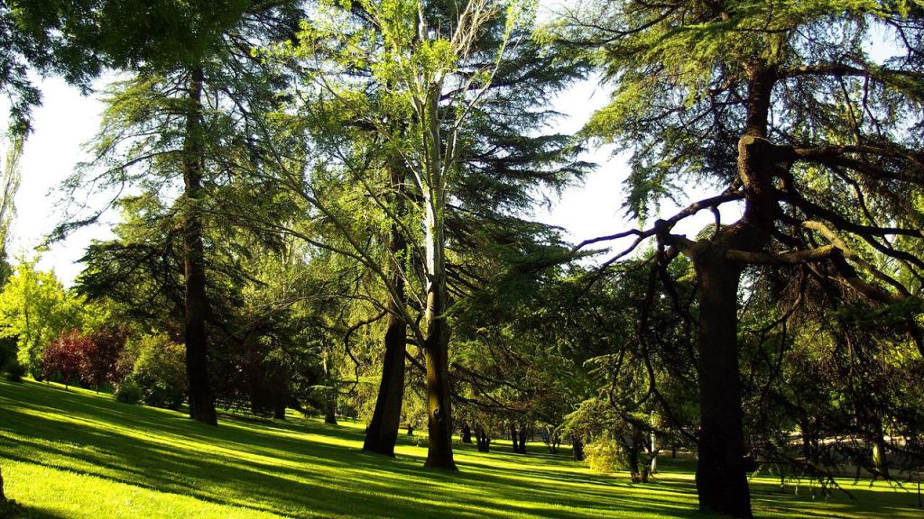 Imagen del Parque del Oeste de Madrid. Foto: Wikimedia Commons