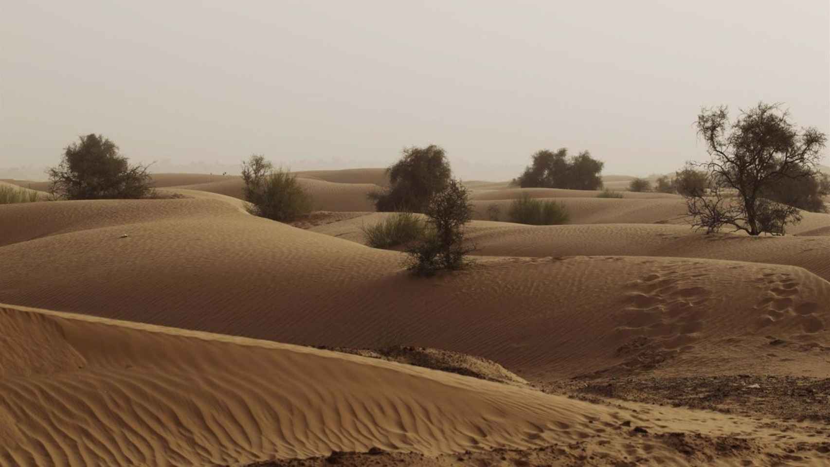 El cambio climático y la desertificación son uno de las mayores fuentes de conflicto en el Sahel.