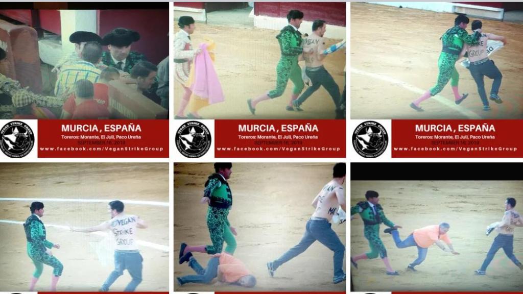 El activista antitaurino holandés ya saltó a la plaza de toros de Murcia en 2019.