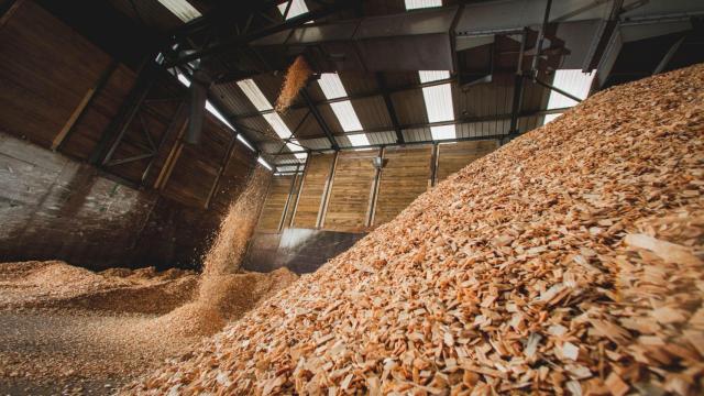 Almacén de subproductos de Biomasa Forestal