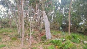 Monumento megalítico ‘Fuso da Moura’ en Poteceso (A Coruña).