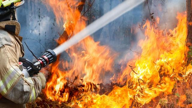 Extinguido esta madrugada el incendio forestal declarado ayer en Cedeira (A Coruña)