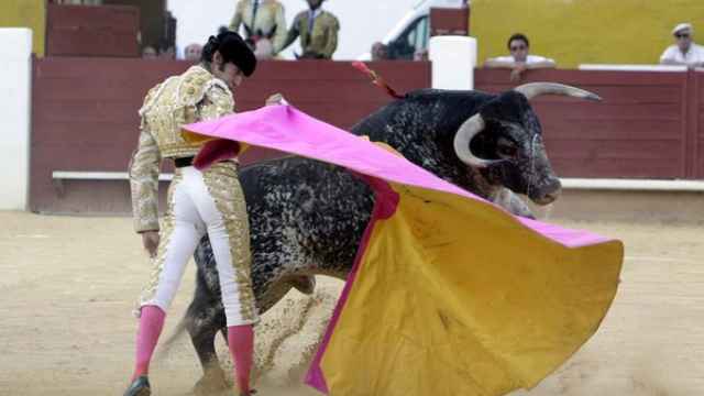 Corrida de toros en Ávila