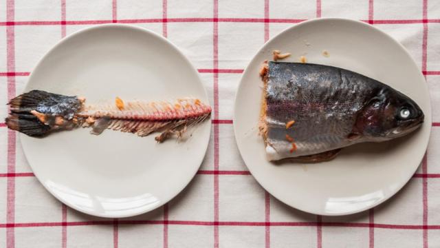 Aprovecha las espinas y cabeza de pescado, ¡no las tires!