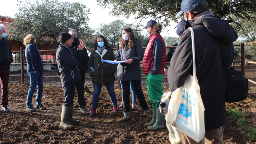 La comunicación directa entre consumidores y productores es uno de los aspectos clave de la iniciativa.