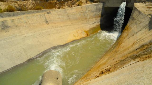 Llegada de agua del trasvase Tajo-Segura en Ulea.