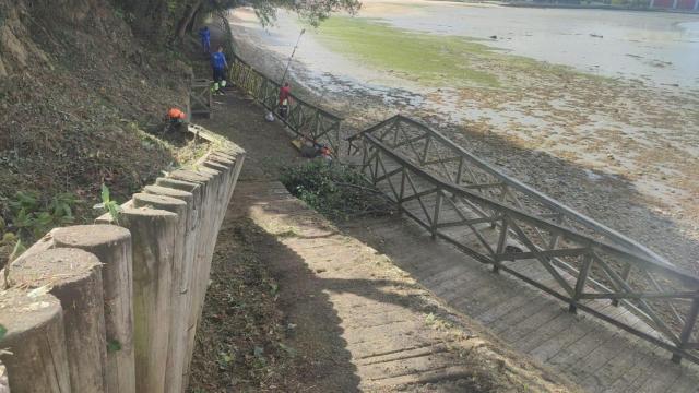 Operarios trabajando en la estructura