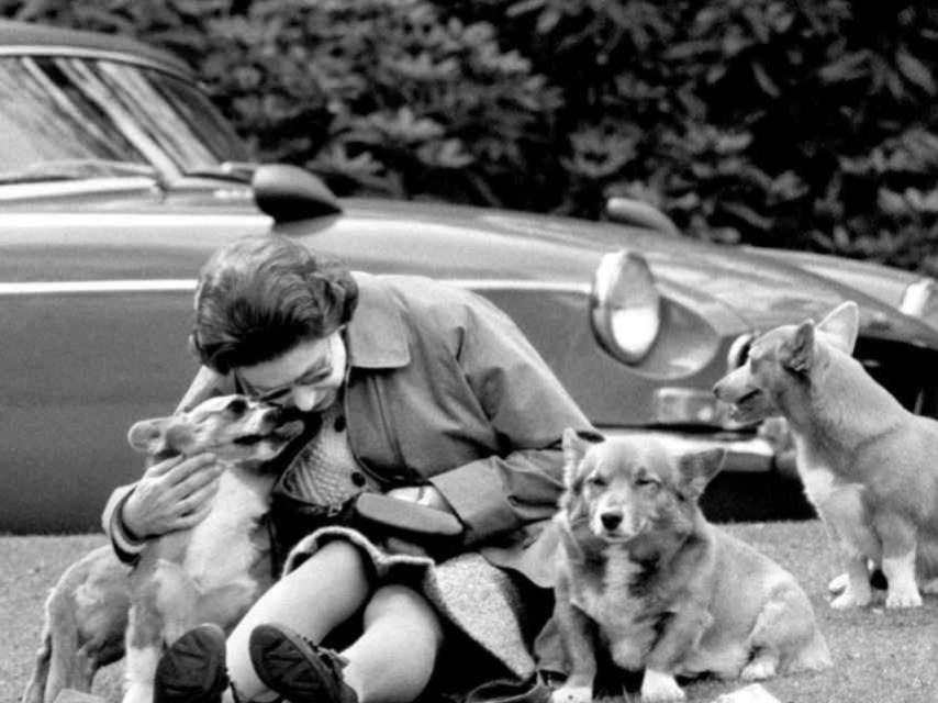 Isabel II posa con algunos de sus corgi en Windsor en 1973.