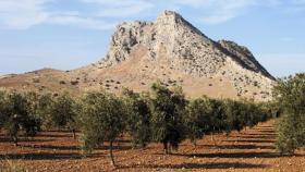 La peña de los Enamorados miró impasible el destino de Tello y Tagzona.