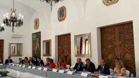 Pleno de Diputaciones, Cabidos y Consellos Insulares de la FEMP.