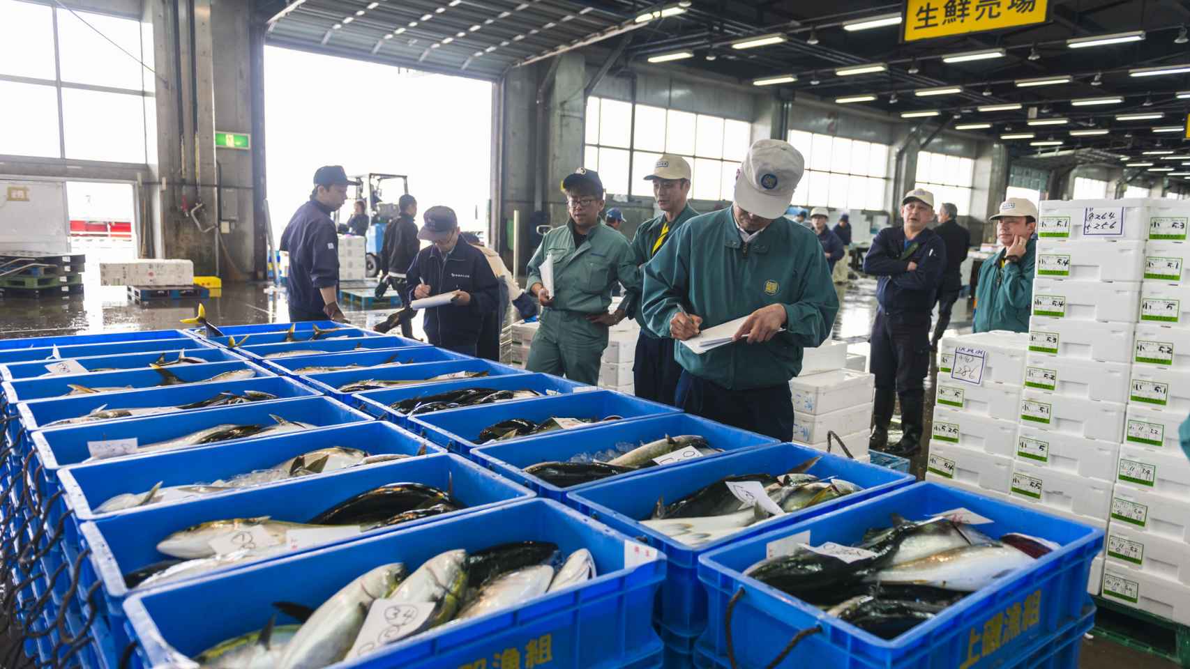 Subasta de pescado en el mercado de pescado de Hakodate, Japón