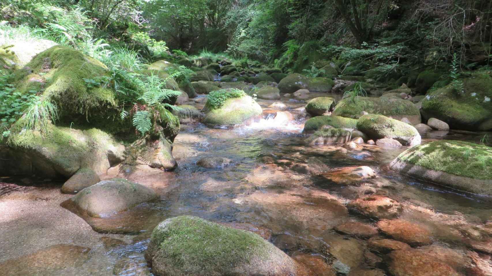 Río Alén.