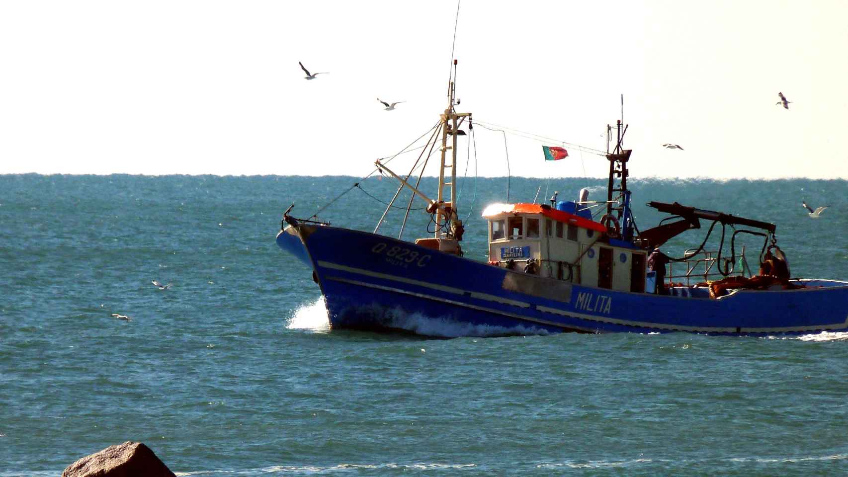La existencia de zonas muertas es un grave riesgo para el sector pesquero, al reducir la biodiversidad
