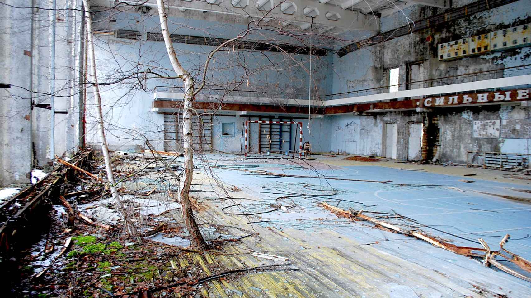 Imagen de un árbol creciendo del suelo de un gimnasio en Chernóbil.