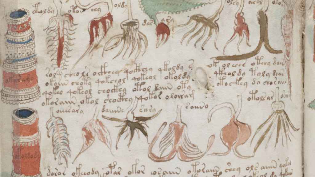 Detalle de una de las páginas del misterioso manuscrito Voynich.