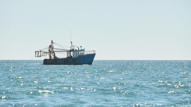 pesca fondo arrastre barco