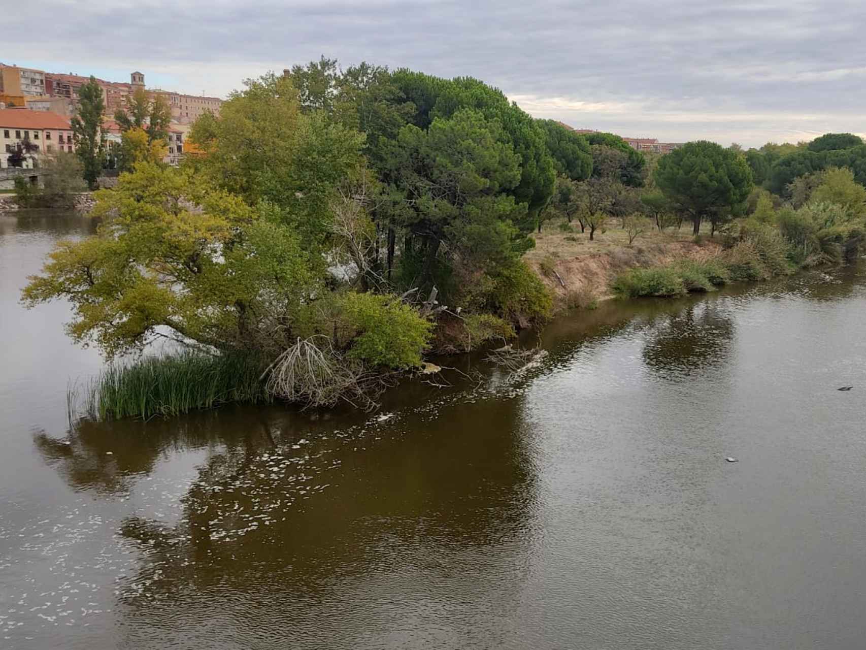 Imagen del río Duero a su paso por Zamora.