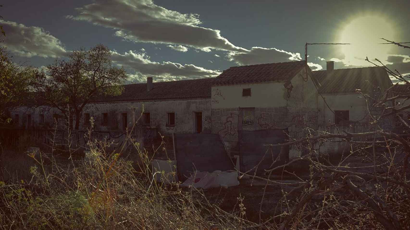 Una imagen de El Alamín.
