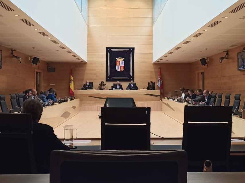 Imagen de la comparecencia de la delegada territorial de la Junta en León, Ester Muñoz, este lunes en las Cortes.