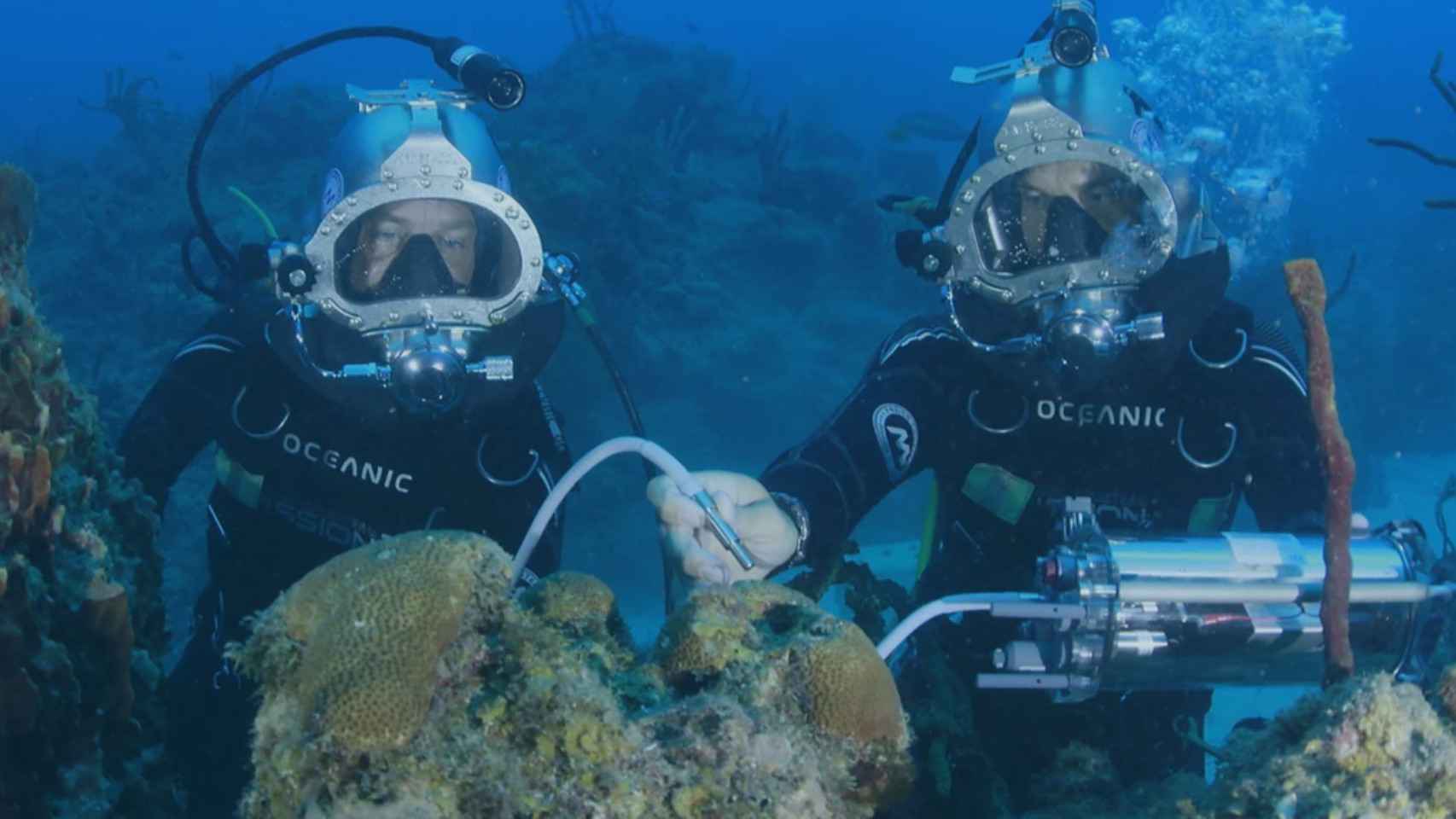Dos submarinistas estudiando el fondo del mar.