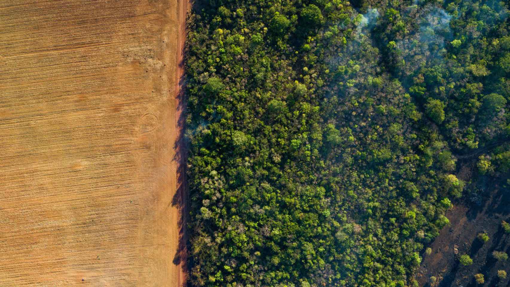 Vista aérea de un campo de maíz cosechado y un bosque bajo la neblina de humo de los incendios forestales incontrolados en Brasil.