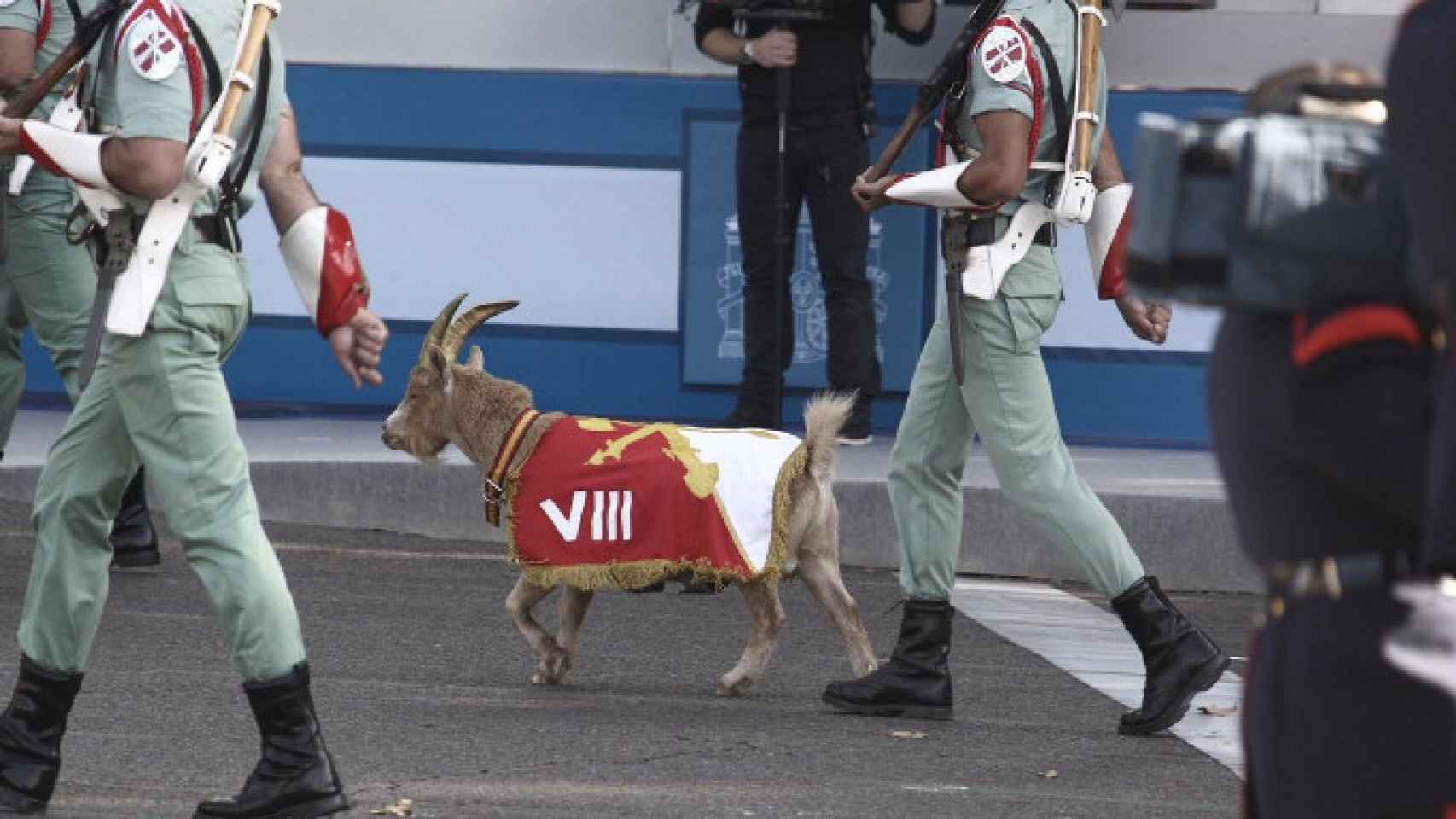 La cabra de La Legión durante un desfile.