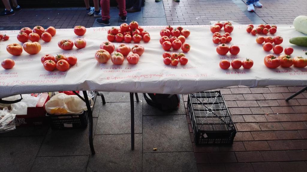 Exposición de distintas variedades de tomates