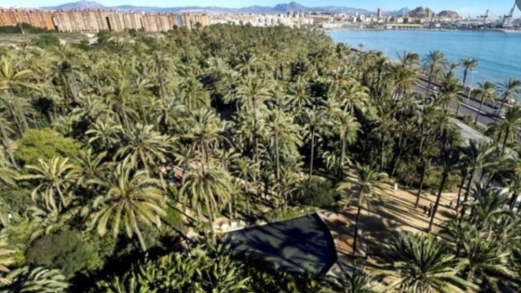 Imagen aérea del parque El Palmeral de Alicante.