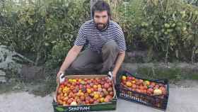 Eduardo Perote con alguna de sus variedades de tomate