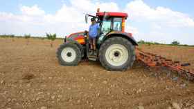 Un agricultor trabaja con su tractor en una plantación con pistacheros al fondo