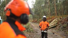 Campaña ‘Siniestralidad 0.0 en el sector forestal’.